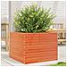 Fioriera Giardino Marrone Cera 60x60x45,5cm Legno Massello Pino - Foto miniatura 1