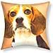 Set Di 2 Copricuscini 40x40 Cm Beagle Dog Design - Foto miniatura 1