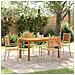 Set da Pranzo per Giardino 5 pcs Beige Poly Rattan - Foto miniatura 2