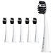 Shine Bright Set Di 6 Teste Di Ricambio Per Spazzole A Carbone - Foto miniatura 1