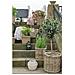 Set Di 2 Cesti Gili Rotondi In Rattan Kubu Naturale Con Manici - 30 E 40 Cm - Foto miniatura 5