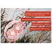86694 nebulizzatore e ventilatore portatile personale Rosa Neck fan - Foto miniatura 10