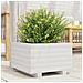 Fioriera Da Giardino Bianca 40x40x26,5cm Legno Massello Di Pino - Foto miniatura 1
