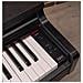 Pianoforte Digitale QP88S 88 Tasti Colore Nero /Bianco - Foto miniatura 3