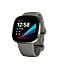 Versa Sense Sage Grey Silver AMOLED Digitale Touch screen Grigio Wi-Fi GPS (satellitare) - Foto miniatura 2