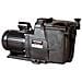 Pompa Di Filtrazione 1 Hp, 15,5 M3 / H Mono 2 \ "" - Sp2611xe161 - Foto miniatura 1