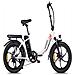 Bicicletta elettrica da città Fafrees F26 Pro, 250 W, batteria da 36 V 14,5 Ah