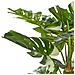 Pianta Artificiale In Vaso 135 Cm Monstera Plant - Foto miniatura 3