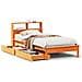 Letto Libreria senza Materasso Marrone Cera 90x200 cm in Pino - Foto miniatura 1
