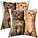 Set Di 2 Copricuscini 40x40 Cm Design Due Gattini - Foto miniatura 2