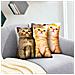 Set Di 2 Copricuscini 40x40 Cm Design Due Gattini - Foto miniatura 3