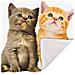 Set Di 2 Copricuscini 40x40 Cm Design Due Gattini - Foto miniatura 4