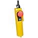 Sollevatore Elettrico 1300 W 400/800 Kg - Foto miniatura 6