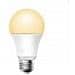 Lampada Goccia Smart Beacon Tech 10w Rgb+3white Dim + Expo - Foto miniatura 1