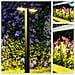 Lampada Solare A Bilancia Luce Calda Per Giardino E Prato - Foto miniatura 5