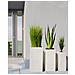 Vaso Da Fiori Rettangolare 40 X 40 X 77 Cm Beige Dion - Foto miniatura 12