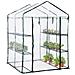 Serra In Acciaio Copertura Pvc L143xp143xh195 Cm Garden Cottage Brixo - Foto miniatura 2