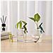 5 Pezzi Clip Di Supporto Per Piante Idroponiche A Forma Di Coniglio - Simpatico Stabilizzatore Di Fissaggio Per Idroponica, Giardino E Acquario Green - Foto miniatura 4