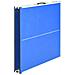 Tavolo Da Ping Pong Con Rete 5 Piedi 152x76x66 Cm Blu - Foto miniatura 4