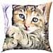 Set Di 2 Copricuscini 40x40 Cm Design Gattino Sdraiato - Foto miniatura 1