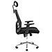 Sedia da ufficio ergonomica in rete Roger Chrome Anyfix M-2 Nero - Foto miniatura 2