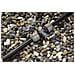 Gard Sprinkl. T-Stueck 25 | 2790-20 - Foto miniatura 4