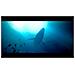 Under The Waves PlayStation 4 - Foto miniatura 5