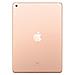 [Ricondizionato SILVER] iPad 2 10.2 32 GB 10" Wi-Fi Oro - Foto miniatura 3