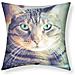 Set Di 2 Copricuscini 40x40 Cm Design Gatto A Pelo Corto - Foto miniatura 1