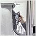 Aspirapolvere Unico MCV85 Total Clean & Turbo Multifunzione 3 in 1 Aspira / Igienizza / Asciuga Senza Sacco Capacità 0,80 L Potenza 2200 W Colore Bianco / Oro - Foto miniatura 8