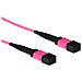 RL7747 cavo InfiniBand e in fibra ottica 7 m MPO /MTP Viola - Foto miniatura 1