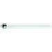 70473327 7.1w G5 A Bianco Freddo Lampada Fluorescente - Foto miniatura 1