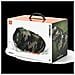 Portatile Stereo XTREME4CAMOUEU Potenza 30 W Bluetooth Multicolore - Foto miniatura 7