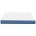 Materasso a Molle Pocket  Blu Medio 180x200x20 cm Tessuto - Foto miniatura 5
