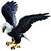 Animali Uccelli Aquila Reale 15cm. 69351 - Foto miniatura 1