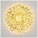 Minicluster Ø6cm Xntl 1500 Led Bianco Caldo 4+30,5m Luci Di Natale - Foto miniatura 2