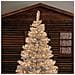Minicluster Ø6cm Xntl 1500 Led Bianco Caldo 4+30,5m Luci Di Natale - Foto miniatura 4