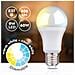 3xSmart Home Lampadina LED E27 Luce Bianca Fredda e Calda App Alexa e Google 9W - Foto miniatura 3
