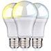 3xSmart Home Lampadina LED E27 Luce Bianca Fredda e Calda App Alexa e Google 9W - Foto miniatura 1