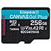 Technology 256 GB microSDXC Canvas Go Plus Gen4 200R A2 U3 Confezione singola senza ADP - Foto miniatura 1