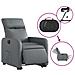 Poltrona Alzapersona Reclinabile Grigio in Similpelle - Foto miniatura 5