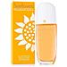 Sunflowers Edt Vapo 50 Ml - Foto miniatura 3