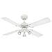 Westinghouse Princess Euro - Ventilatore A Soffitto Per Interni Con Kit Luce, Finitura Bianca Con Lame Reversibili, Tre Faretti, Bianco / Faggio 105 Cm - Foto miniatura 1