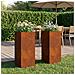 Vaso da giardino 2 pz Ruggine 20 x 20 x 50 cm Acciaio Corten - Foto miniatura 2