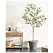 Pianta Artificiale In Vaso 178 Cm Olive Tree - Foto miniatura 1