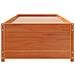 Dormeuse Senza Materasso Marrone Cera 90x190 Cm Legno Di Pino - Foto miniatura 3
