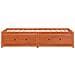 Dormeuse Senza Materasso Marrone Cera 90x190 Cm Legno Di Pino - Foto miniatura 4