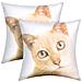 Set Di 2 Copricuscini 40x40 Cm Design Gatto - Foto miniatura 2
