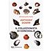 Anthony Doerr - Il collezionista di conchiglie - Foto miniatura 1