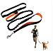 Guinzaglio Per Cani Da Corsa Passeggio Estensibile Ammortizzatore 130-200 Cm Passeggiata - Foto miniatura 1